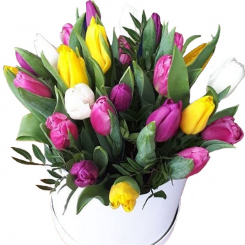 Букет MIX из 25 тюльпанов в коробке